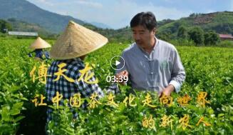 “3820”战略工程30年30人丨傅天龙：让中国茶文化走向世界的新农人